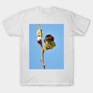 A Bee T-Shirt